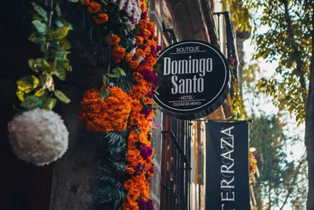 Domingo Santo Hotel Boutique (Adults Only) Mexico-stad Buitenkant foto