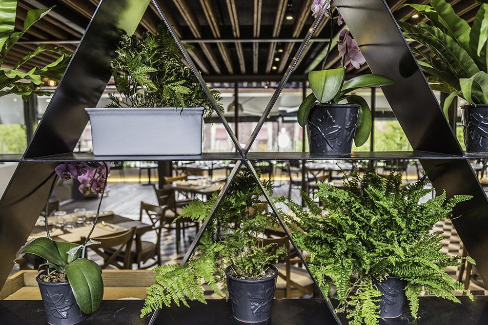Domingo Santo Hotel Boutique (Adults Only) Mexico-stad Buitenkant foto